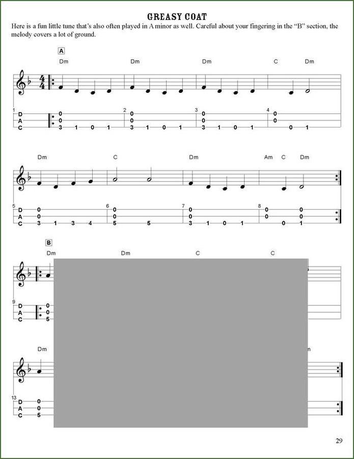 Butch Ross - All The Strings, All The Time, mountain dulcimer songbook, photo 4