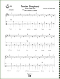 Dave Haas - You Can Play The Dulcimer-Folkcraft Instruments