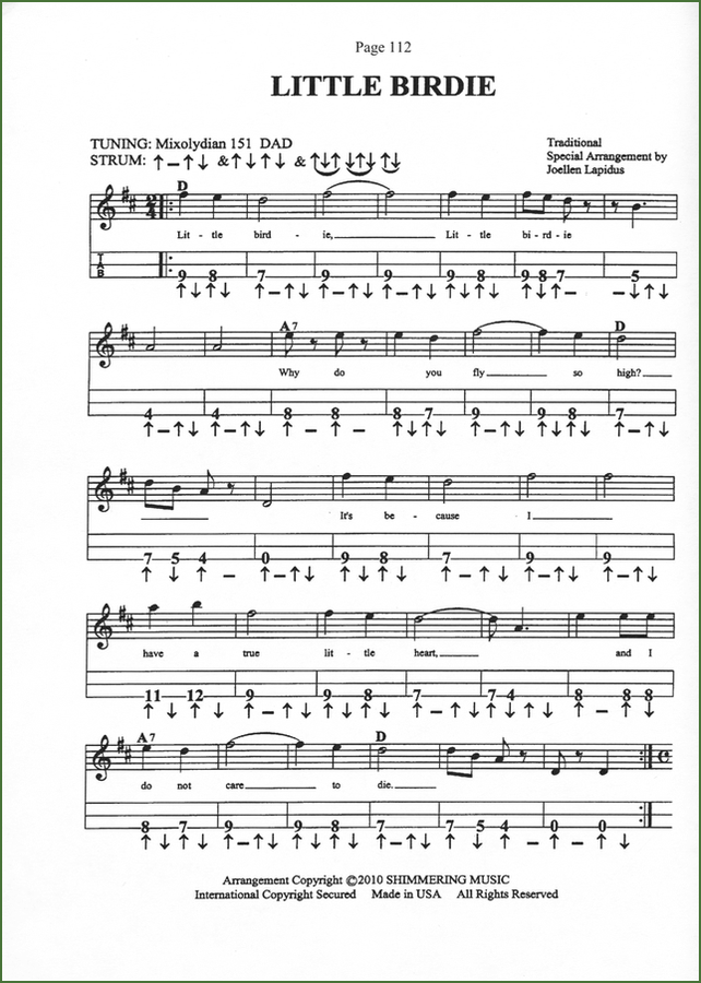 Joellen Lapidus - Lapidus On Dulcimer 2-Folkcraft Instruments