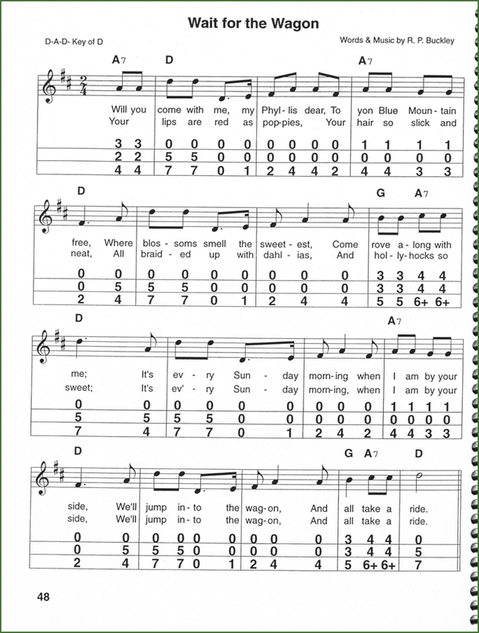 Maureen Sellers - Songs Of The Civil War-Folkcraft Instruments