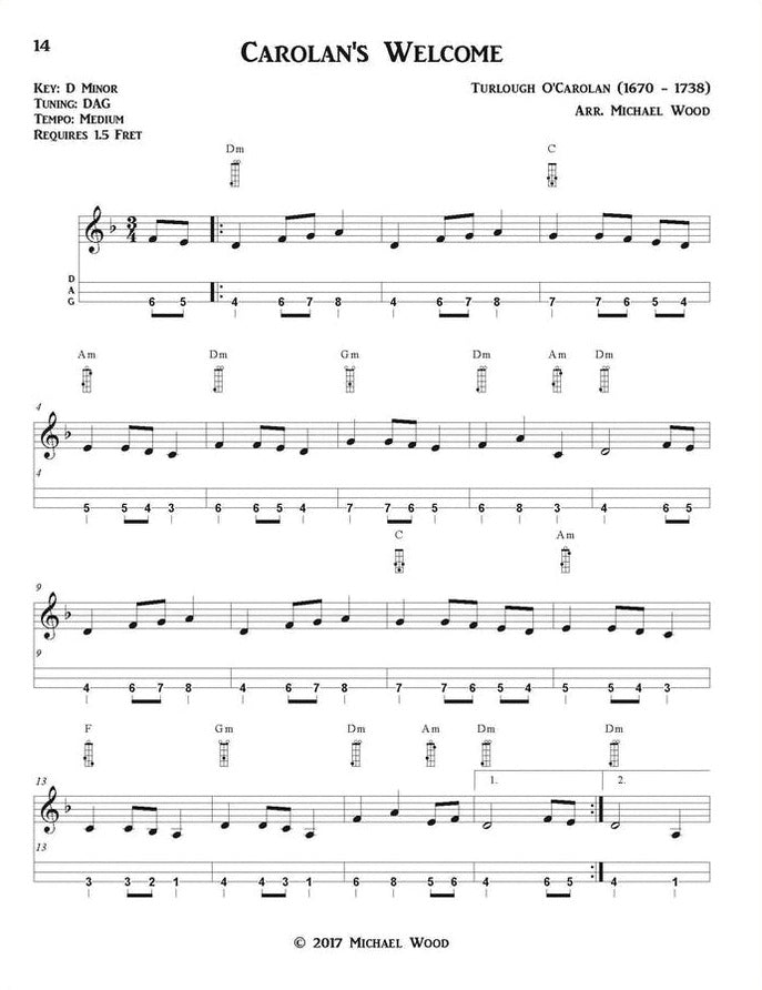 Michael Wood - Dulcimer On The Backroads: Old Time And Celtic Tunes, DAA Version, photo 6
