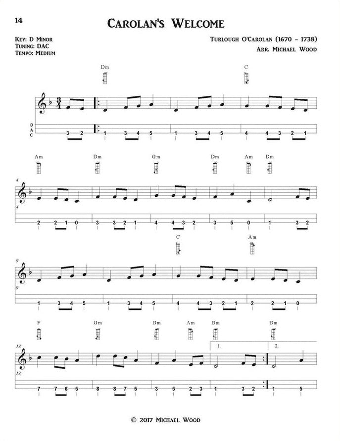 Michael Wood - Dulcimer On The Backroads: Old Time And Celtic Tunes, DAD Version, photo 6