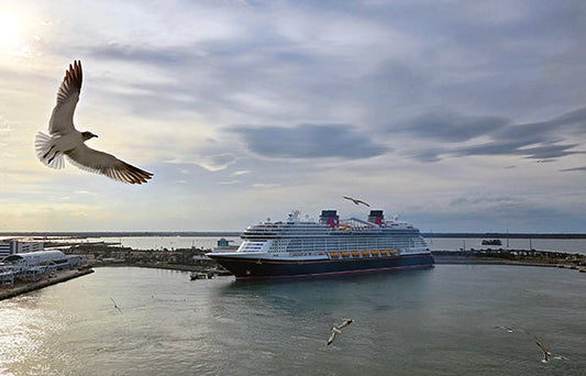 view from the ship at port canaveral at the newest Disney cruise ship