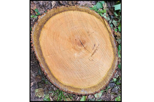 heartwood