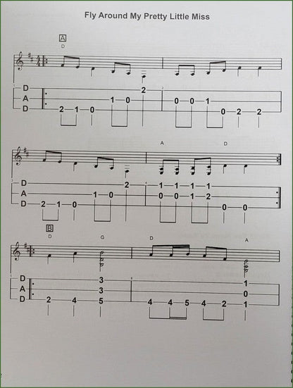 Bing Futch - Mountain Dulcimer In The Band, Book 8, photo 3