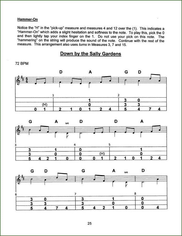 Dana Gruber - Play Pretty, mountain dulcimer songbook, photo 5