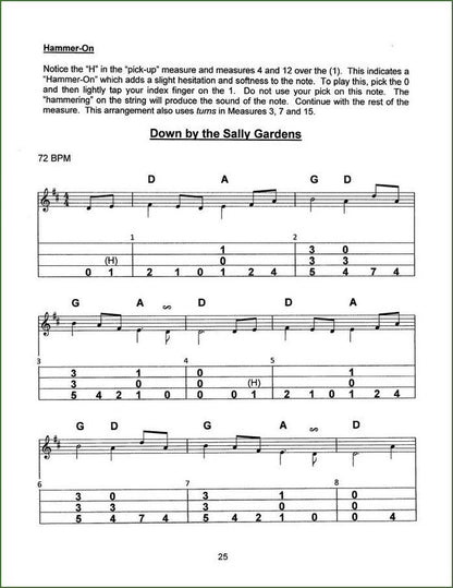 Dana Gruber - Play Pretty, mountain dulcimer songbook, photo 5