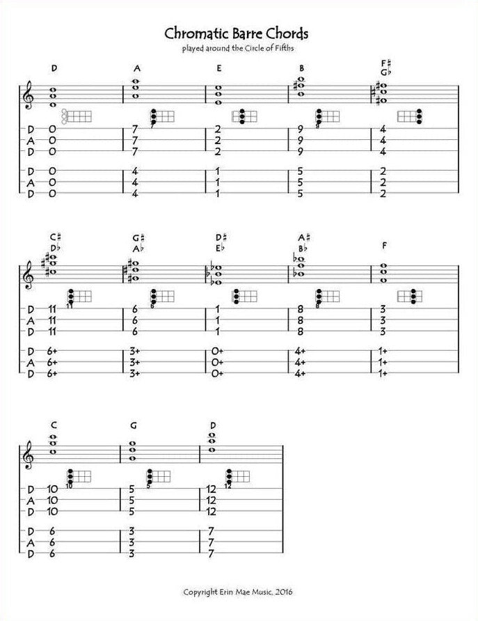Erin Mae - Chromatic Mountain Dulcimer Chord Encyclopedia, photo 4