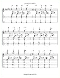 Erin Mae - Chromatic Mountain Dulcimer Chord Encyclopedia