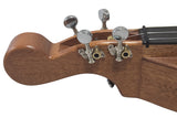FolkRoots® H Series Dulcimer, Mahogany Body, Mahogany Top