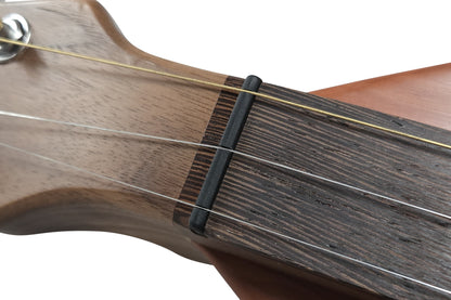 FolkRoots® H Series Dulcimer, Walnut Body, Cedar Top