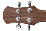 FolkRoots® D Series Dulcimer, Walnut Body, Butternut Top