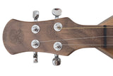 FolkRoots® D Series Dulcimer, Walnut Body, Butternut Top