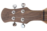 FolkRoots® D Series Dulcimer, Walnut Body, Butternut Top