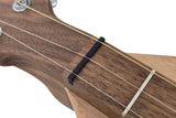 FolkRoots® D Series Dulcimer, Walnut Body, Butternut Top