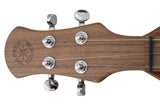 FolkRoots® D Series Dulcimer, Walnut Body, Mahogany Top