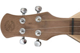 FolkRoots® D Series Dulcimer, Walnut Body, Spruce Top