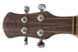 FolkRoots® D Series Dulcimer, Walnut Body, Spruce Top