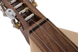 FolkRoots® D Series Dulcimer, Walnut Body, Spruce Top