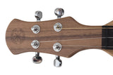 FolkRoots® H Series Dulcimer, Walnut Body, Butternut Top