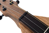 FolkRoots® H Series Dulcimer, Walnut Body, Oak Top