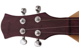 Folkcraft® Custom Series Dulcimer, Walnut Body, Spruce Top