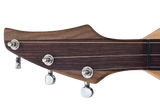 Folkcraft® Custom Series Dulcimer, Walnut Body, Spruce Top