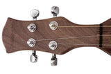 Folkcraft® FSH Series Dulcimer, Walnut Body, Walnut Top