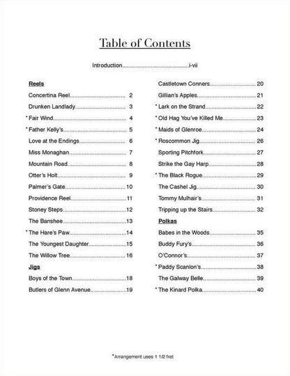 Aaron O'Rourke - Irish Session Tunes, Volume 2, mountain dulcimer songbook, photo 2
