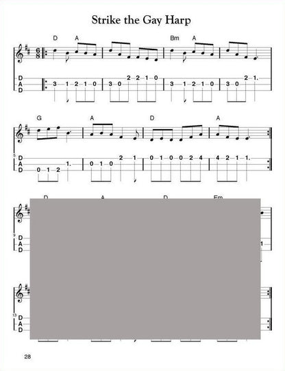 Aaron O'Rourke - Irish Session Tunes, Volume 2, mountain dulcimer songbook, photo 6