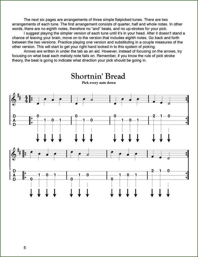 Aaron O'Rourke - Secrets To Successful Flatpicking, mountain dulcimer instruction book, photo 4