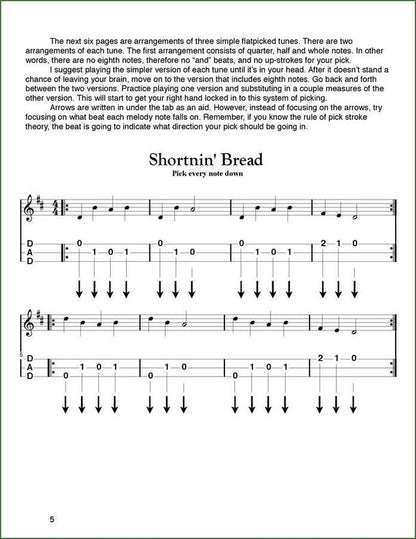 Aaron O'Rourke - Secrets To Successful Flatpicking, mountain dulcimer instruction book, photo 4