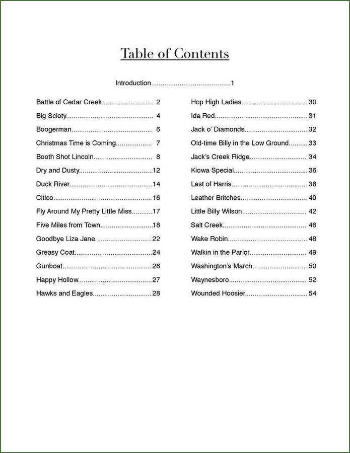 Aaron O'Rourke - The Best Tunes You Never Play, mountain dulcimer songbook, photo 2