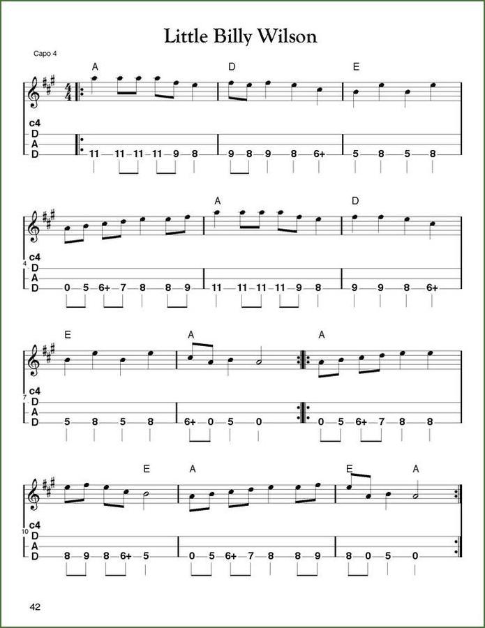 Aaron O'Rourke - The Best Tunes You Never Play, mountain dulcimer songbook, photo 5
