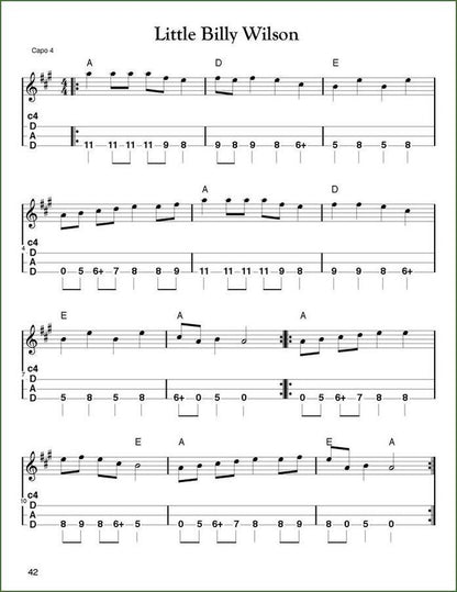 Aaron O'Rourke - The Best Tunes You Never Play, mountain dulcimer songbook, photo 5