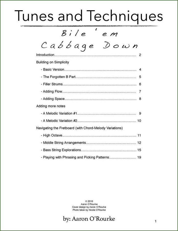 Aaron O'Rourke - Tunes And Techniques - Bile 'Em Cabbage Down, mountain dulcimer songbook, photo 2
