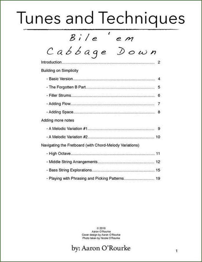 Aaron O'Rourke - Tunes And Techniques - Bile 'Em Cabbage Down, mountain dulcimer songbook, photo 2