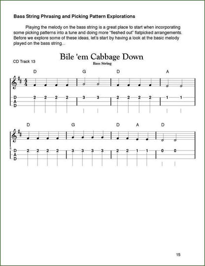 Aaron O'Rourke - Tunes And Techniques - Bile 'Em Cabbage Down, mountain dulcimer songbook, photo 4