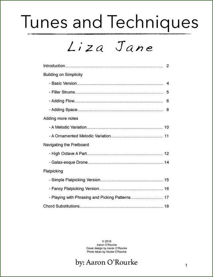 Aaron O'Rourke - Tunes And Techniques - Liza Jane, mountain dulcimer songbook, photo 2