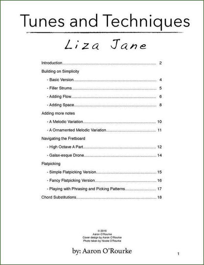 Aaron O'Rourke - Tunes And Techniques - Liza Jane, mountain dulcimer songbook, photo 2