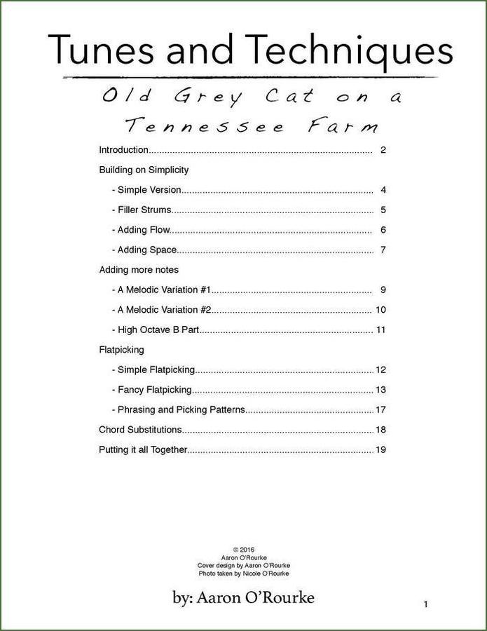 Aaron O'Rourke - Tunes And Techniques - Old Grey Cat On A Tennessee Farm, mountain dulcimer songbook, photo 2