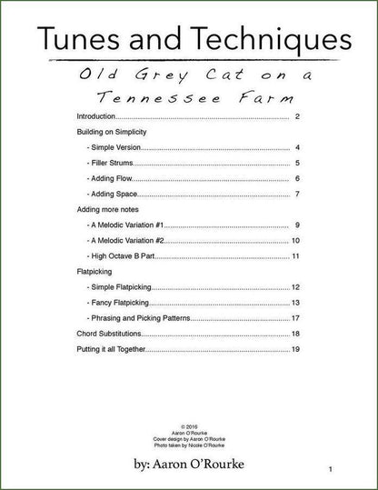Aaron O'Rourke - Tunes And Techniques - Old Grey Cat On A Tennessee Farm, mountain dulcimer songbook, photo 2