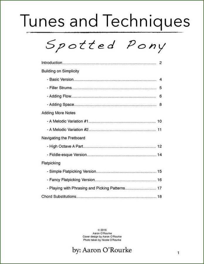 Aaron O'Rourke - Tunes And Techniques - Spotted Pony, mountain dulcimer songbook, photo 2