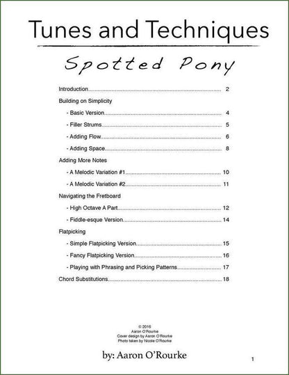 Aaron O'Rourke - Tunes And Techniques - Spotted Pony, mountain dulcimer songbook, photo 2