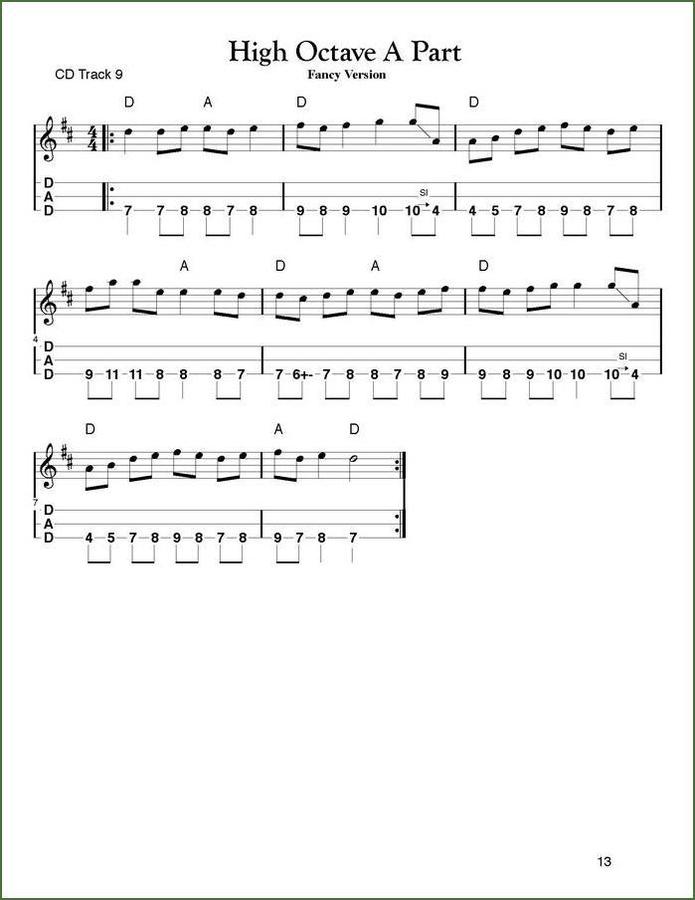 Aaron O'Rourke - Tunes And Techniques - Spotted Pony, mountain dulcimer songbook, photo 4