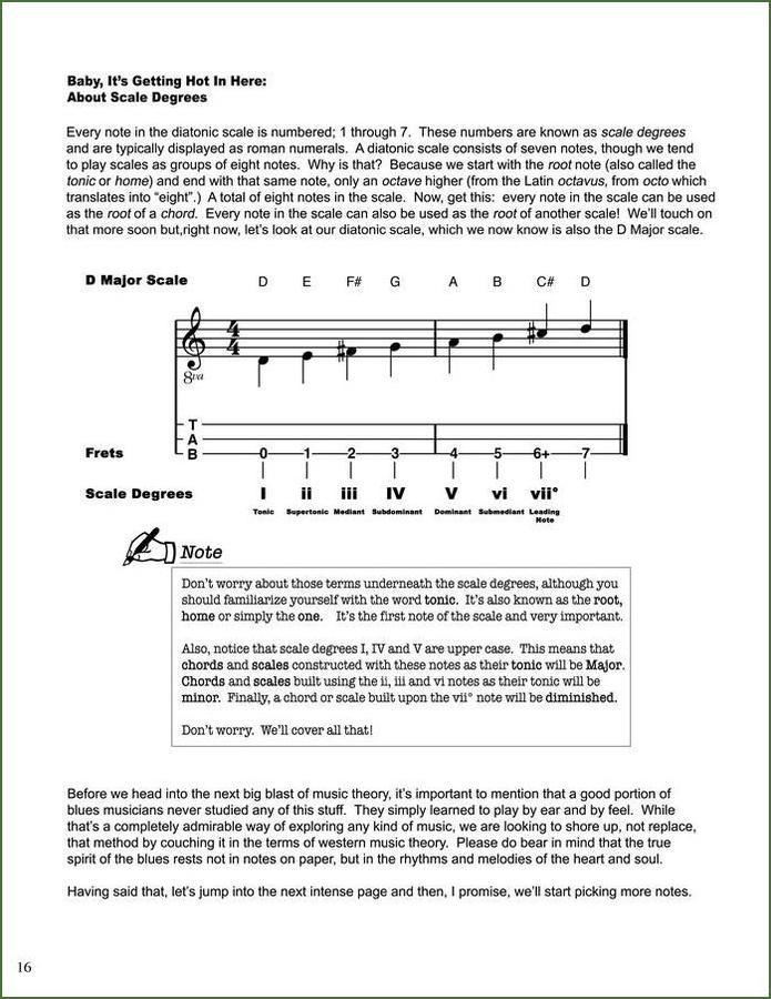 Bing Futch - Blues Method For Mountain Dulcimer, photo 4
