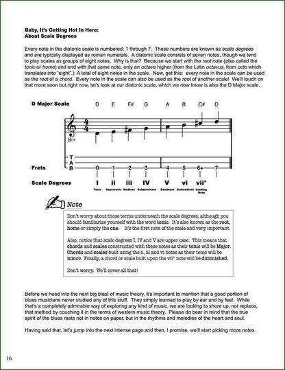 Bing Futch - Blues Method For Mountain Dulcimer, photo 4