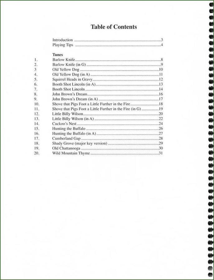 Butch Ross - 13 Great Tunes That (Almost) Nobody Plays-Folkcraft Instruments