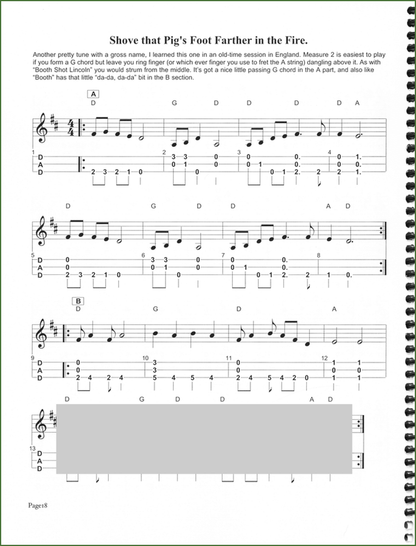 Butch Ross - 13 Great Tunes That (Almost) Nobody Plays-Folkcraft Instruments