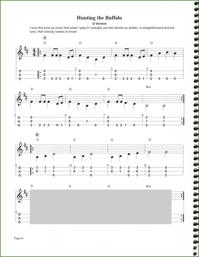Butch Ross - 13 Great Tunes That (Almost) Nobody Plays-Folkcraft Instruments